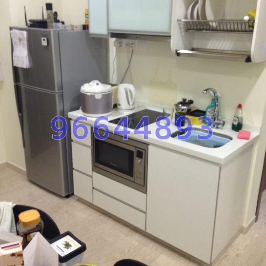 Suites @ Eastcoast (D15), Condominium #56707952